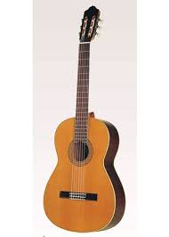 klassiek gitaar muziek