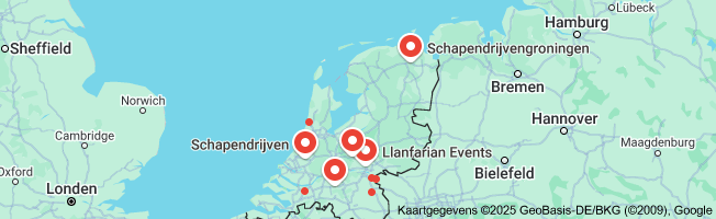 schapendrijven teambuilding