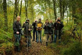 natuurfotografie workshops