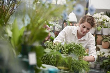 bloemschikken cursus
